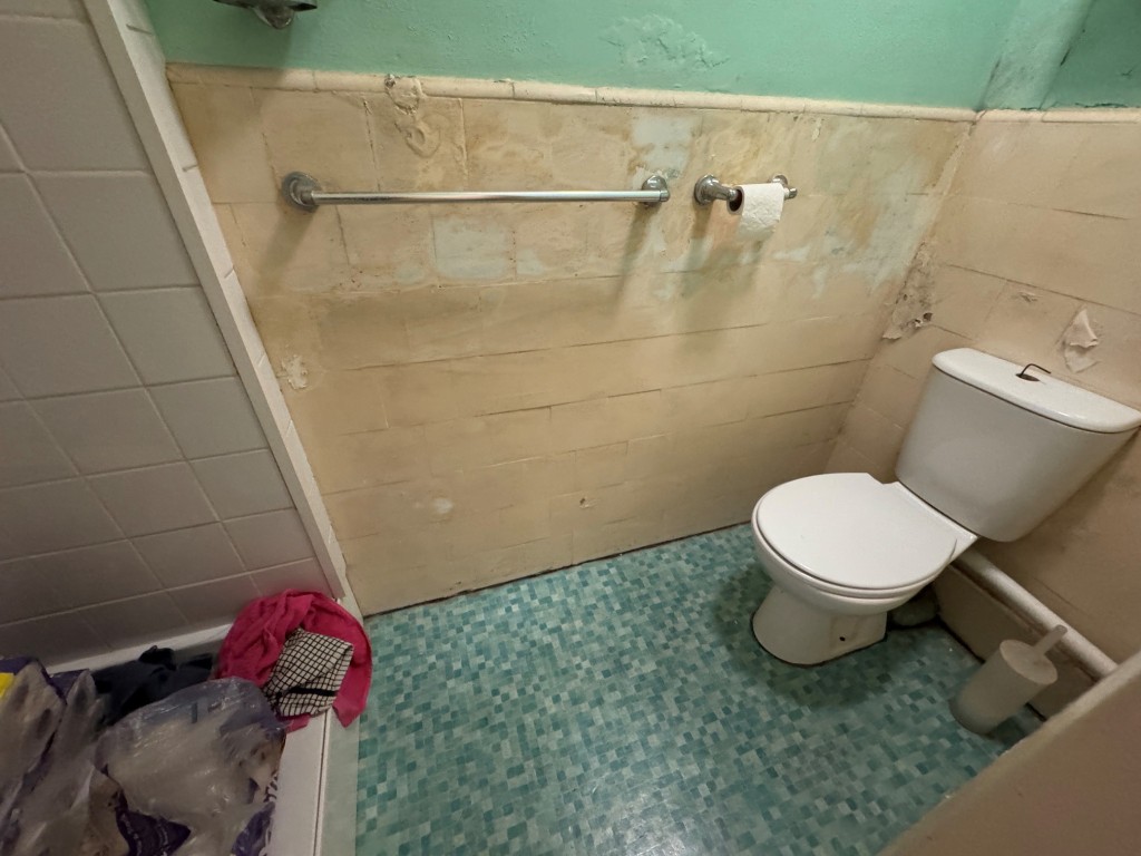 Lot: 193 - COMMERCIAL AND RESIDENTIAL INVESTMENT - Shop - Shower cubicle and W.C.